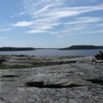 Wild things we learned about Earth in 2025