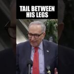Pete Hegseth Humiliates Chuck Schumer in Front of the Press