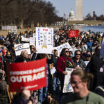 Comment: ‘This year nearly broke me as a scientist’