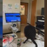 Norton Children’s Hospital debuts mobile gaming station for kids to play at their bedside | Local News