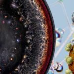 From Kissing Number Problem To The Big Void, 10 Scientific Mysteries That Remains Unsolved In 2025