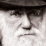 Why Consciousness Science Needs Darwin