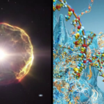 Moment of Science highlights from 2025 include star death, concert seismology