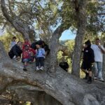 A Nutty Solution: Lessons From an Acorn