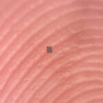 The World’s Smallest Programmable Robot Can Barely Be Seen : ScienceAlert