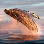 We must listen to scientists on climate change, or face catastrophe