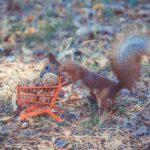 Where to Stash Cash as Yields Fall, According to Advisers