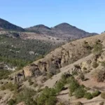 Mexican scientists discover an “army” of bacteria that could boost sustainable agriculture