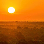 Amazon Is Shifting Into a ‘Hypertropical’ State Unseen For Millions of Years : ScienceAlert