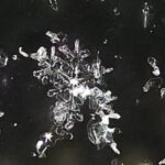 Sunday Science: Different types of snowflakes