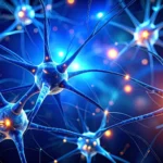 The brain has a hidden language and scientists just found it