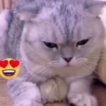 @foryou Best friends 4ever        …