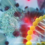 Cancer cells depend on a dangerous DNA repair trick