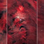 A Christmas tree 80 light-years wide appears in space