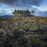 Climate Change Explained: Science, Risks, Tipping Points, and Global Impacts