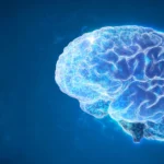 A surprising brain cleanup reduced epileptic seizures and restored memory