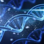 DNA Says You’re ‘British’ or ‘Viking’? Science Says Your Ancestry Test Might Be Misleading