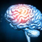 Losing weight in midlife may have a hidden brain cost