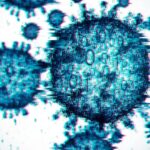 Year in review: The standout health stories of 2025, from measles outbreaks to AI-made viruses