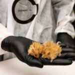 The 11 strangest scientific discoveries of 2025