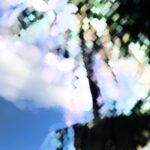 @moinulislamjowel0     @Masum Rana ICC  …