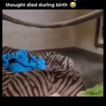 @foryou4real                      …