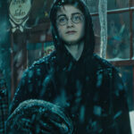 @sleepy.ae1 Harry Potter on Christmas vibes || less then 1 month for Christmas |…