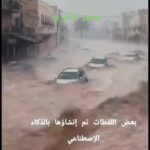 @shah_jalal_bhuiyan2       …