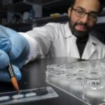 Could memory manipulation one day help treat PTSD, depression, dementia?