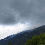 Planned burning enters Greece’s wildfire strategy