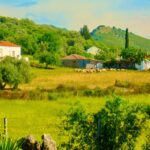 Greek Countryside at Risk – CounterPunch.org