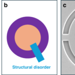 Topological photonics for single-photon sources