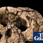 Fresh bone analysis makes case for earliest ‘ancestor of humankind’, but doubts remain | Palaeontology
