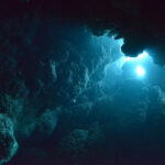 Scientists stunned by discovery in one of deepest parts of ocean: ‘Underlines the importance’