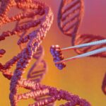 From gene therapy breakthroughs to preventable disease outbreaks: The health trends that will shape 2026