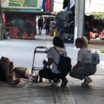 Applications Open for Volunteer Opportunities in Greece Serving Vulnerable Communities