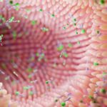 Scientists Link Gut Bacteria to Bipolar Depression in Mouse Study : ScienceAlert