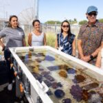 Members of state House Finance Committee visit Big Island, visit several projects, programs : Big Island Now