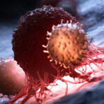 Blocking One Protein Slows Cancer Growth in Mice, Scientists Discover : ScienceAlert