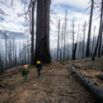 UC Irvine scientists discover what drives California’s worst fire years – UC Irvine News