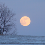 January ‘Wolf Supermoon’: How to see the full moon rise with Jupiter this weekend