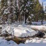 DAILY DIGEST, weekend edition: Rain, snow on repeat; Appellate court upholds bar on revenue bonds for Delta Program; Using science to protect fish and water supply; Satellites show dozens of U.S. dams are sinking; and more … ~ MAVEN’S NOTEBOOK