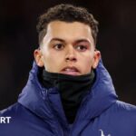 Brennan Johnson set to be in Crystal Palace’s squad to face Newcastle after Tottenham exit