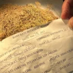 This tiny plant is helping solve crimes