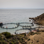 Short Documentary Explores Devastating ‘Ghost Farms’ Along Greece’s Coastline