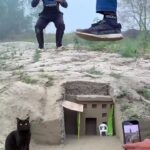 @gulkhantiktok.com0  you video please  foryoupage please  …