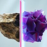 A Paradox in Evolution May Become the Next Rule of Biology