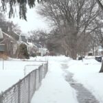 Toddler attacked by family dog at Greece home