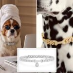 Million Dollar jewelry for dogs is latest luxury trend coming to Beverly Hills