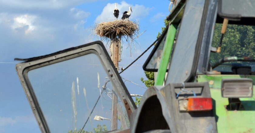 EU fraud investigators raid Greek farm funds agency – POLITICO